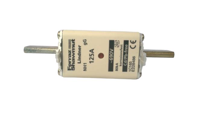 MERSEN NH1GG69V125