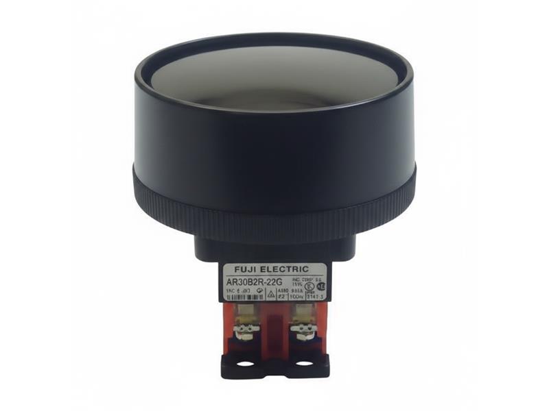 AR30B2R-22G by FUJI ELECTRIC