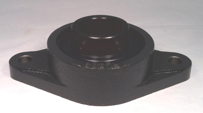 IPTCI BEARINGS BUCFL20824