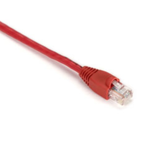 BLACK BOX CORP EVNSL83-0025-25PAK