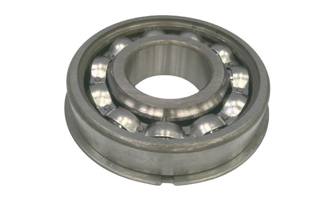 SKF 306MG