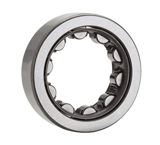 NU314G1C4 by NTN BEARING
