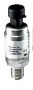 WINTERS LE31103S5GN4CVU