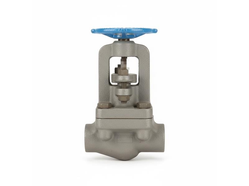 W053054B-02TY by VELAN VALVE