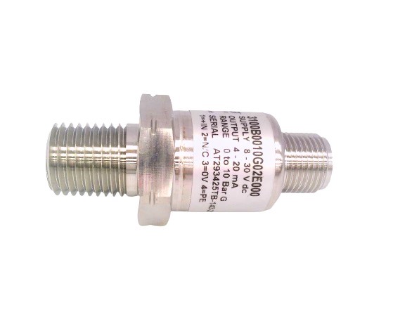 GEMS SENSORS 3100B0010G02E000