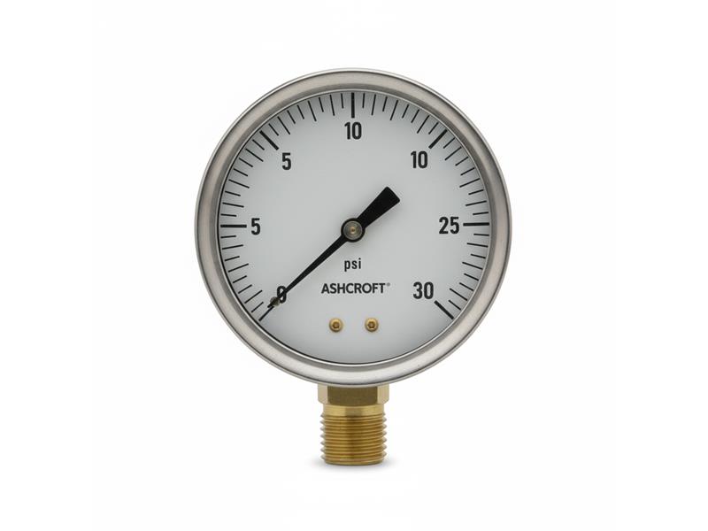 35-1009-SW-02L-0/30 par ASHCROFT