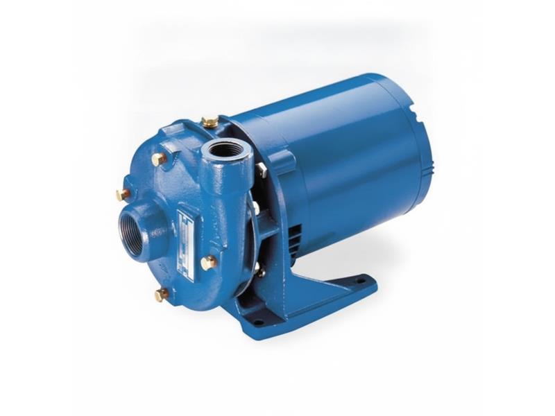 1BF11034 por XYLEM