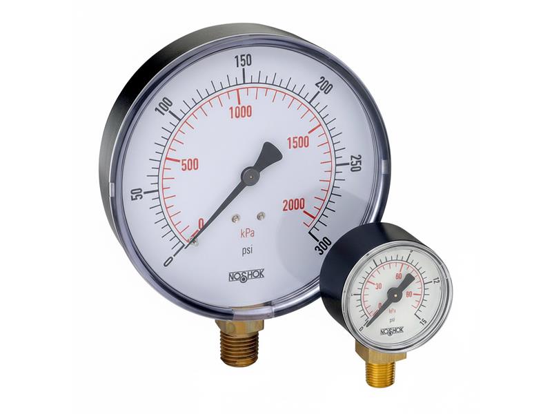 NOSHOK 25-110-100-PSI/KG/CM2-BLFF-BP3