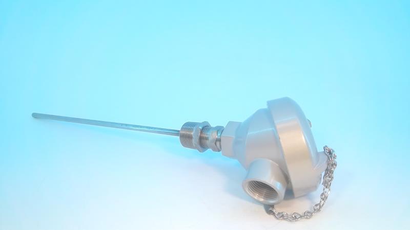 TRUTEMP SENSORS SS316