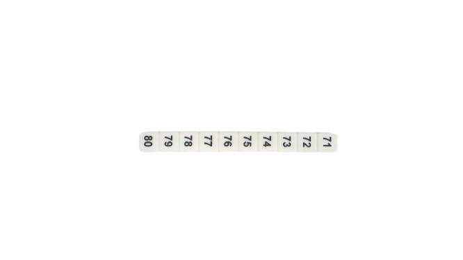 ALTECH CORP SB-5/10-FS/71-80