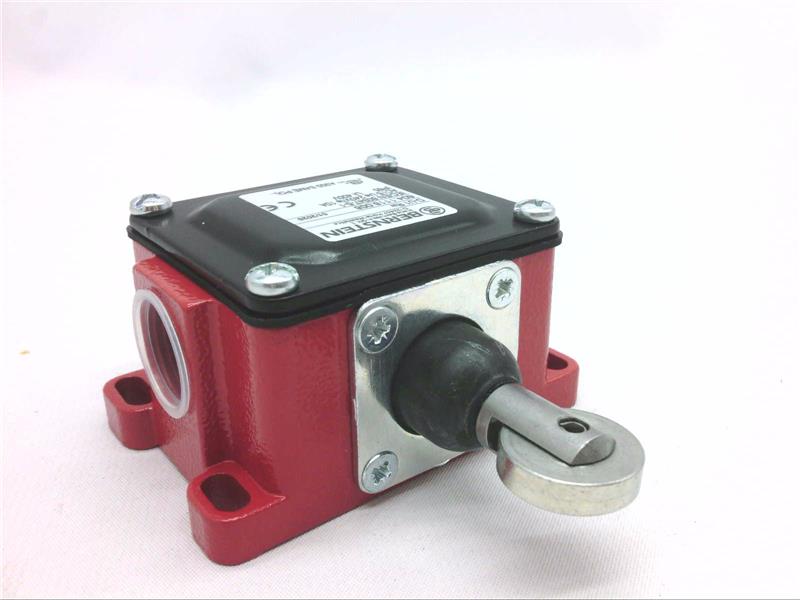 BERNSTEIN AG 604.1118.008