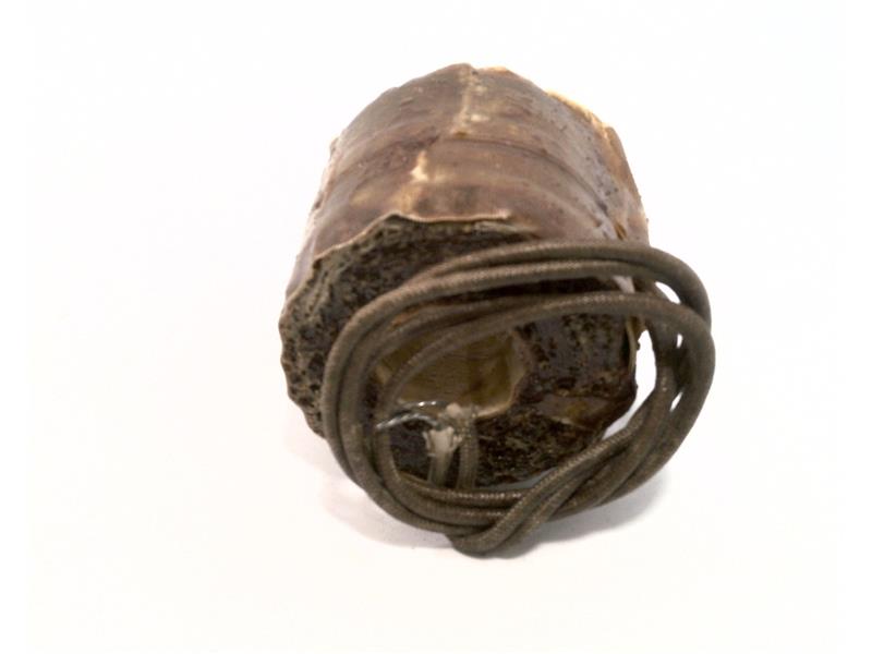 ASCO 027478-007D