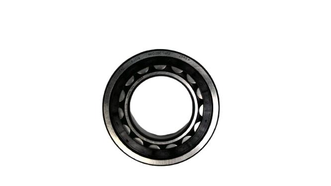 SCHAEFFLER GROUP NU209E.TVP2