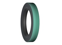 SKF 19839