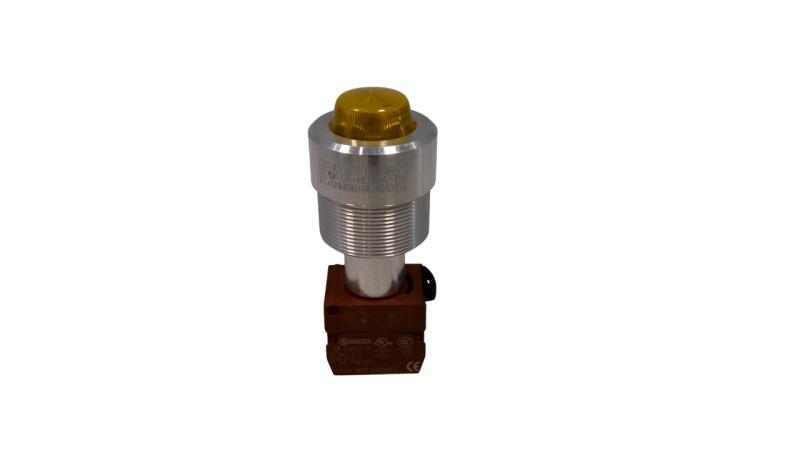 CORTEM GROUP M-0428/G
