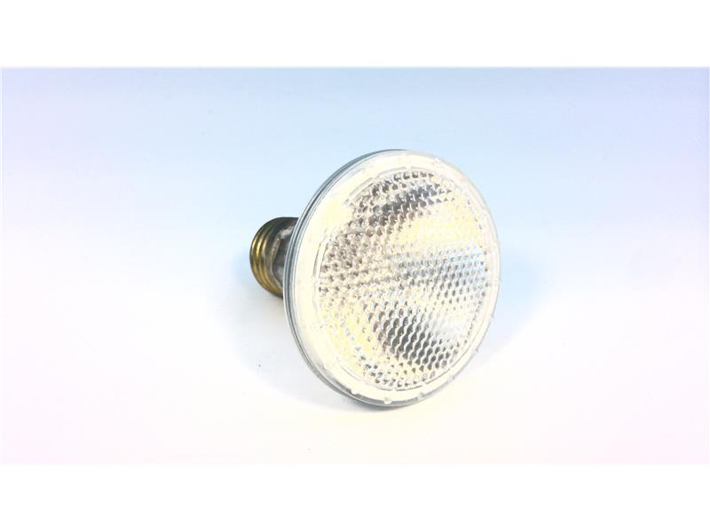 DAMAR 50PAR20QNFL/30/SS