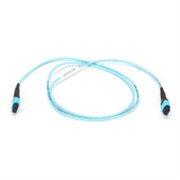 BLACK BOX CORP FOTC30M3-MP-12AQ-1