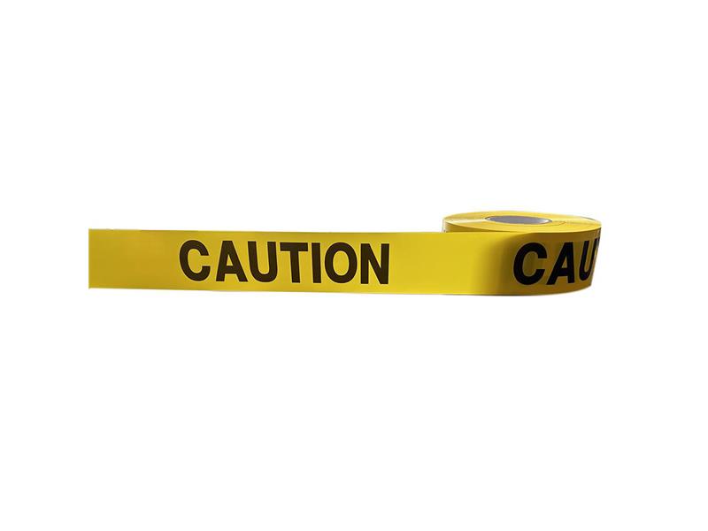 PRO SAFE INC BT-CTN231000
