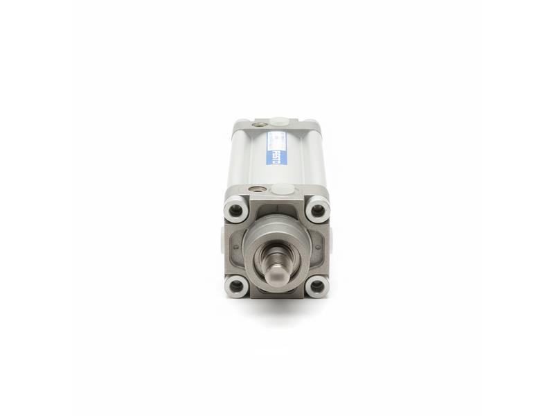 DNGU-63-100-PPV-A-S10 by FESTO