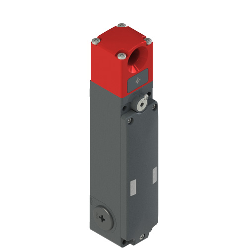 PIZZATO NG 2D1D411A-K110