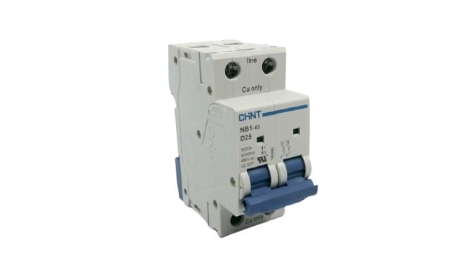 CHINT NB1-63-D25-2P