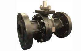 FLO TITE F600-CS-YYYN-O-100