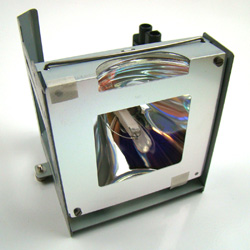 RADWELL VERIFIED SUBSTITUTE TLP-L1-SUB (LAMP & HOUSING)