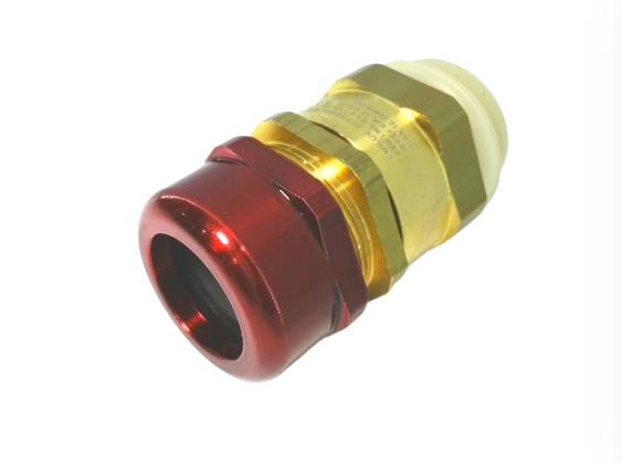RAPID 32PXSS2KREX1RA