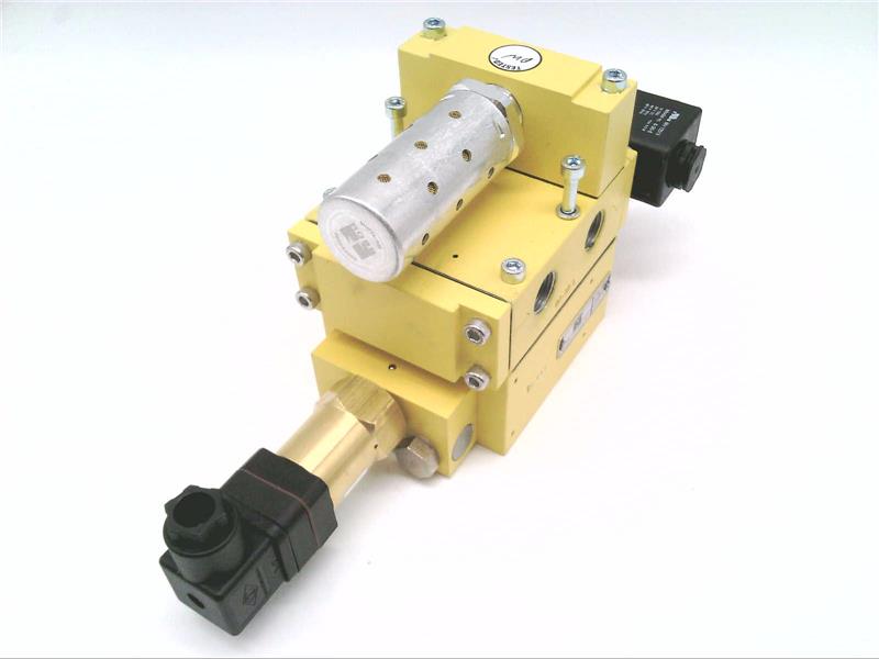 ROSS CONTROLS DM1ENA21A31