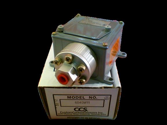 CUSTOM CONTROL SENSORS 604GM11