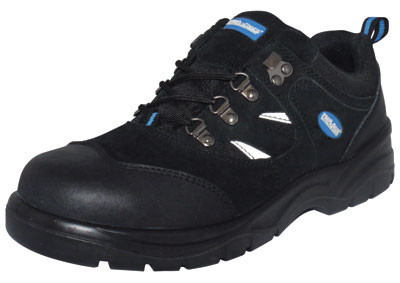 PRO SAFE INC VSF-30005D