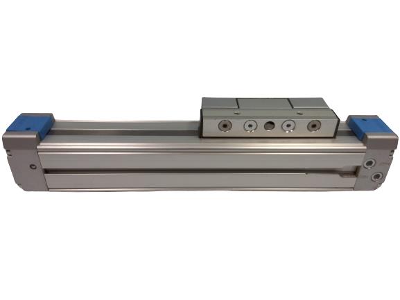 FESTO DGPL-25-100-PPV-A-B-GF-SH