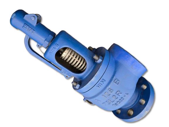 SPIRAX SARCO SV73IL608