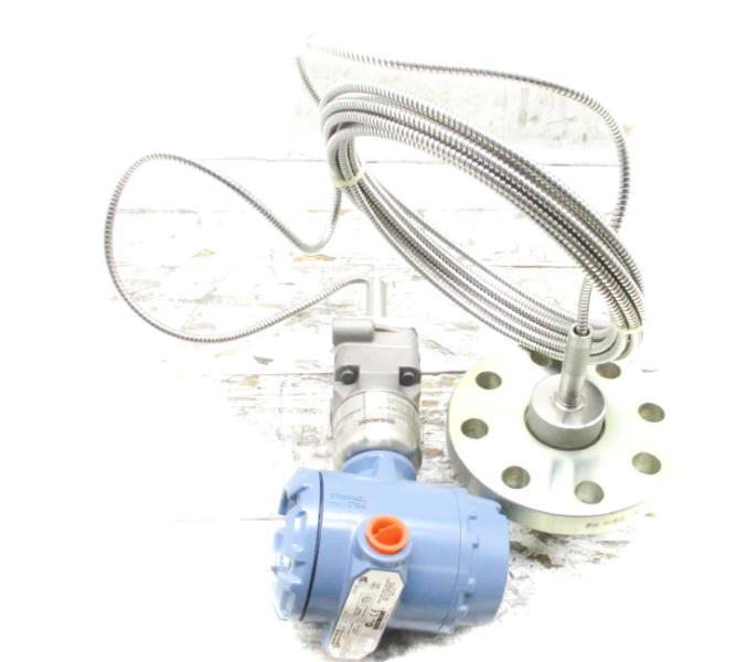 EMERSON 300S1AAE5M5