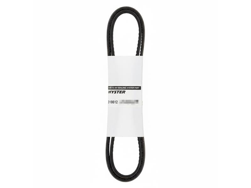 HYSTER 318612