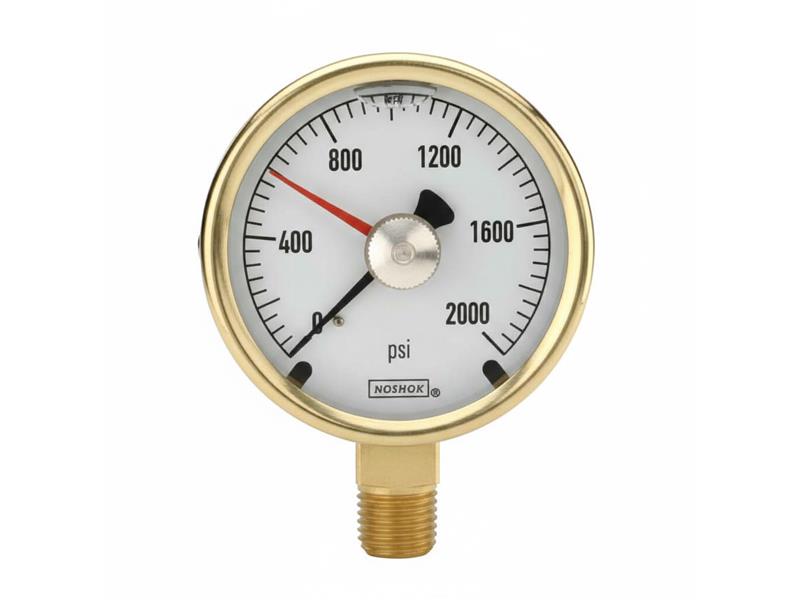 25-300-15-PSI/KPA-BFF por NOSHOK