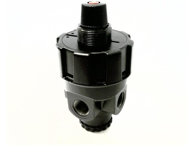 NORGREN R24-300-RGLA