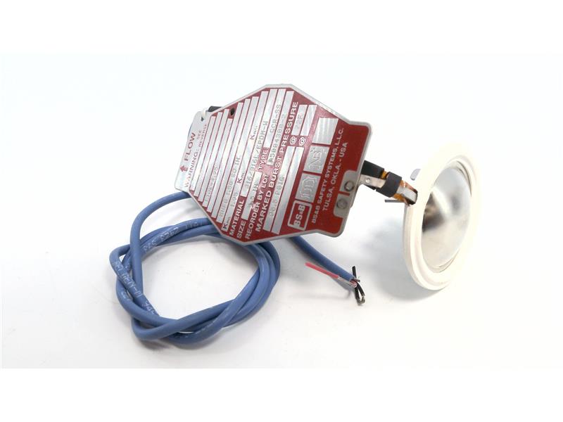 BS&B SAFETY SYSTEMS GCR-SS