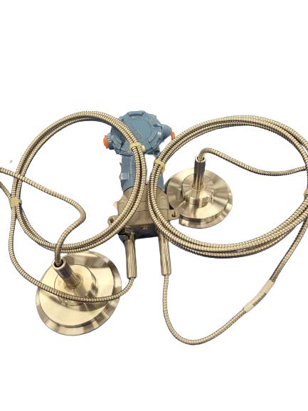 3051CD2A22A1AS2B4E5Q4Q8 par EMERSON