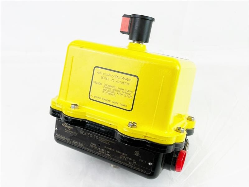 FLOWSERVE 10-75-Z-120A