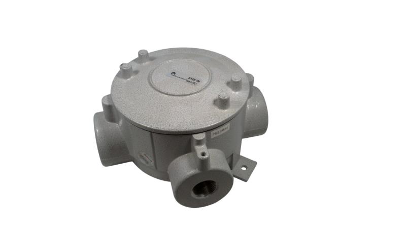 CORTEM GROUP SX29.1N