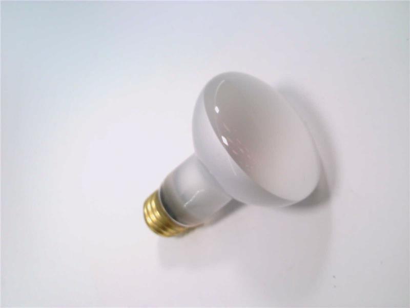 EIKO 30R20/FL-130V