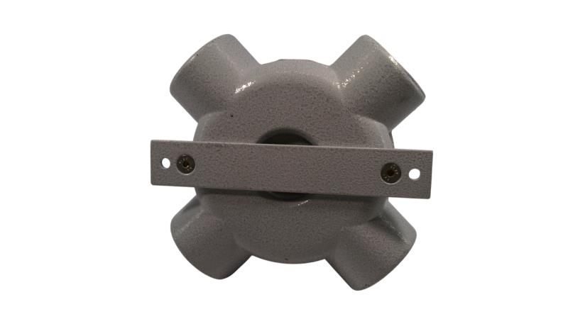 CORTEM GROUP SX59.1N