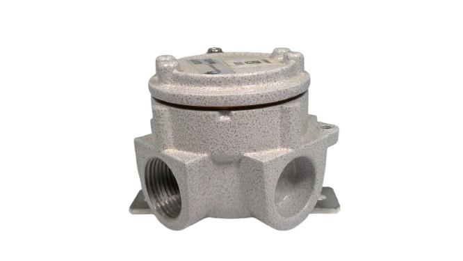 CORTEM GROUP SL24.1N