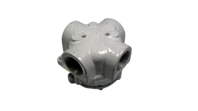 CORTEM GROUP ST24.1I