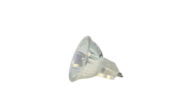 XENON BPXNFTD/2