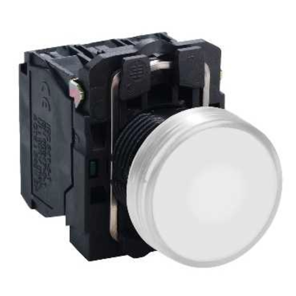 SCHNEIDER ELECTRIC XB5AW3165