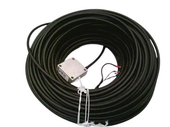 REO USA INC 45754