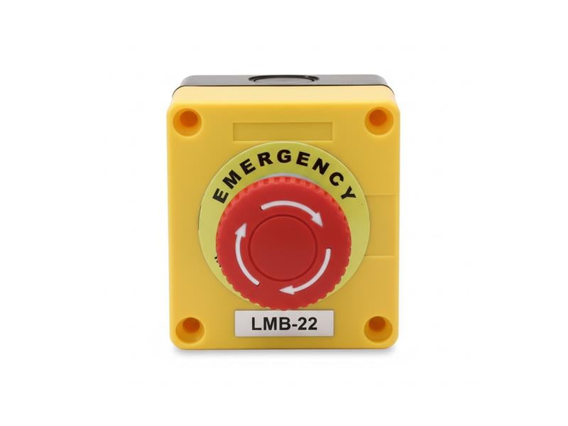 AUSPICIOUS ST-4-LMB-22