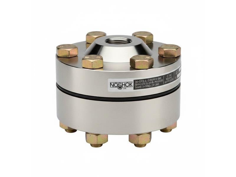 NOSHOK 30-02S-S-R-08S